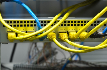 network cables connected to switch