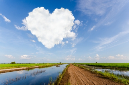 heart cloud in blue skyの写真素材
