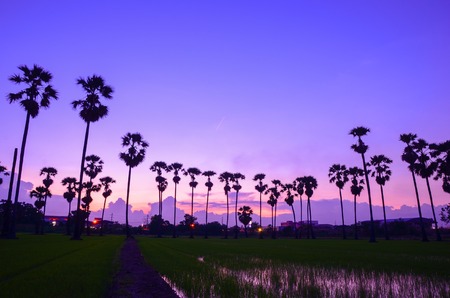 Beautiful Sunset Skyの写真素材