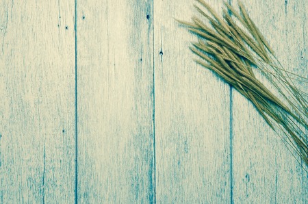 Texture of Old wood wall backgroundの写真素材