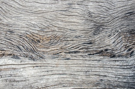 wood textureの写真素材