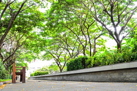 View of Green park in cityの写真素材
