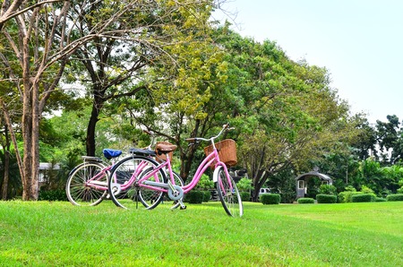 Bicycle in parkの写真素材