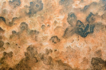 Texture of stone wallの写真素材