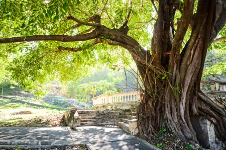 Stone walkway to gardenの写真素材