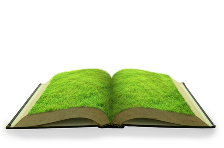 Open grass book isolated on white backgroundの写真素材