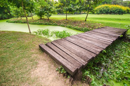 timber bridge in green parkの写真素材