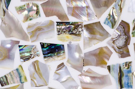 stone decorated with sea shells as backgroundの写真素材