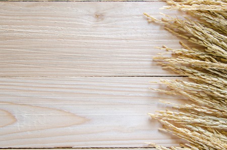 Prairie grass on wood wall backgroundの写真素材