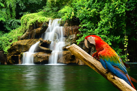 Artificial waterfallの写真素材