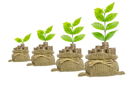 Growing plant in coins bag isolated on white background , business conceptの写真素材