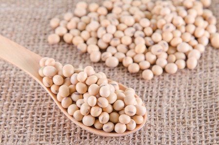 soy beans in wooden spoonの写真素材