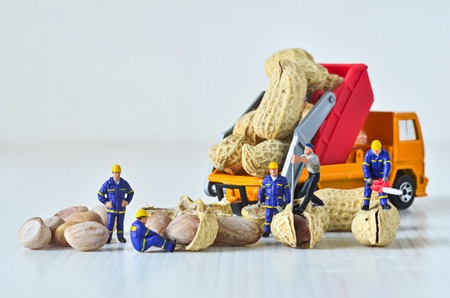 miniature technical team peeled nuts