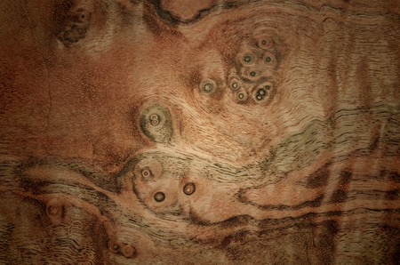 veneer wood texture for background