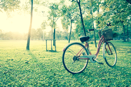 red bicycle in green parkの写真素材