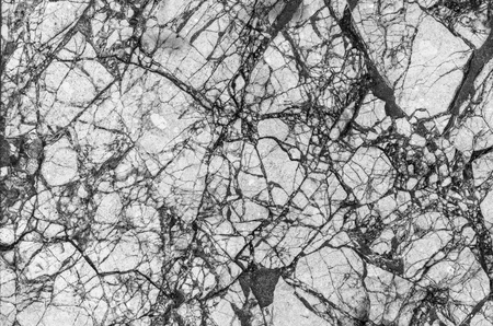 marble stone surface texture in black and white toneの写真素材