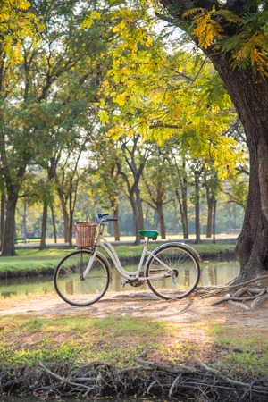 white bicycle in green parkの写真素材