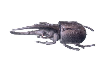 artificial bugs isolated on white backgroundの写真素材