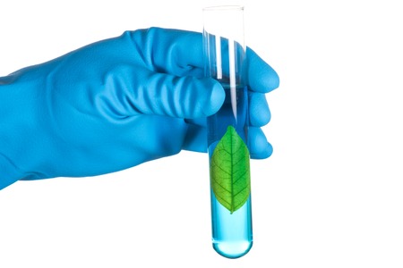 green leaf in laboratory test tube in scientist hand isolated on white background , biotechnology conceptの写真素材