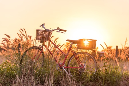 beautiful red vintage bicycle in grass field at sunsetの写真素材