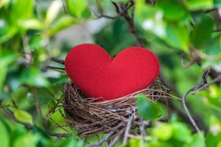 red heart in bird nestの写真素材