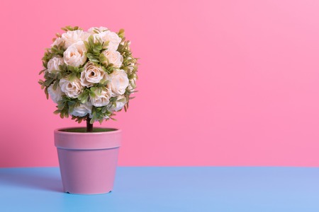 artificial flower pot on blue and pink paper , minimal style backgroundの写真素材