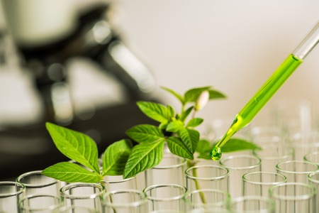 pipette over test tube dropping sample chemical into sample herbal plaint with microscope background , biotechnoloy research concept.の写真素材