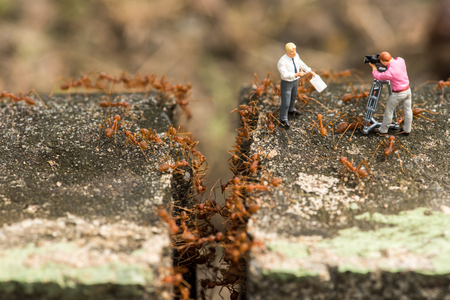 miniature speaker and the ant trying to climb over the cut off wayの写真素材