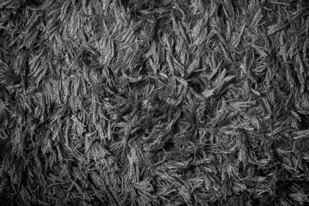 dark carpet texture for backgroundの写真素材