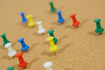 pins on the board