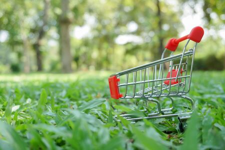 miniature red shopping cart on green gardenの写真素材