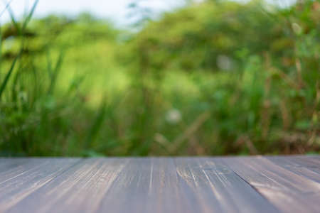 brown wood shelf on green leaves backgroundの写真素材