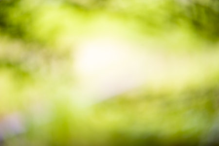 abstract blur of green leaves for background,natural green bokehの写真素材