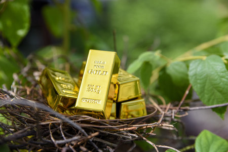 gold bar in bird nest