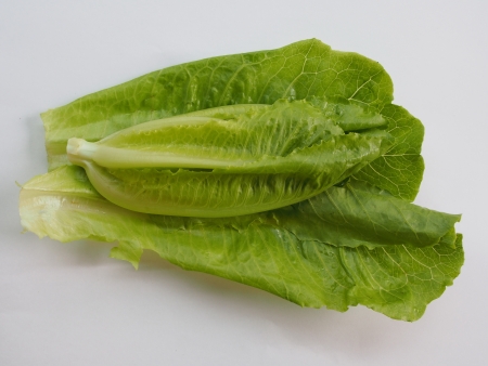 Vegetableの写真素材
