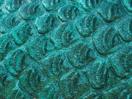 Naga scale textureの写真素材