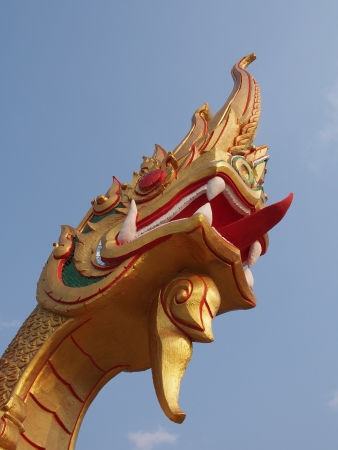 Naga Fireballの写真素材