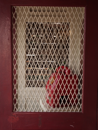 Public telephone boothの写真素材