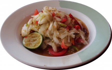 Cucumber Saladの写真素材