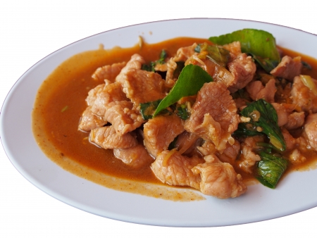 Pork Curryの写真素材