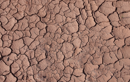 Cracked soilの写真素材