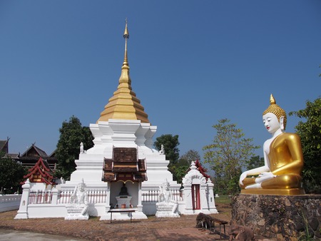 Buddha and pagodaの写真素材