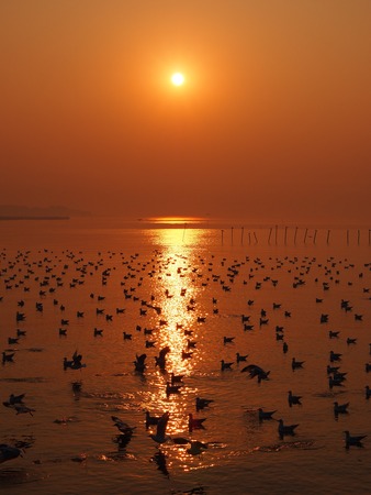 Sunrise の写真素材
