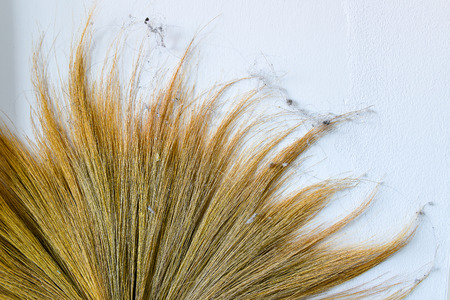 Broom and debrisの写真素材