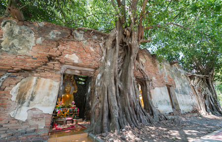 Sang katai temple Ang tong province Thailandの写真素材