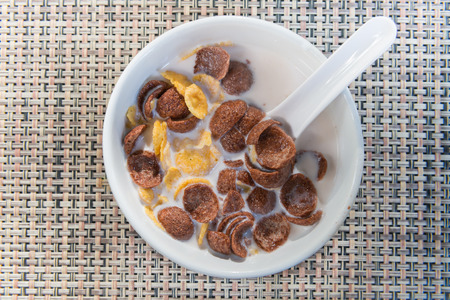 Cereals with milk on top view