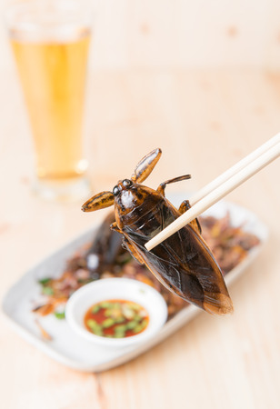 water bug fried on chopsticks on wooden backgroundの写真素材