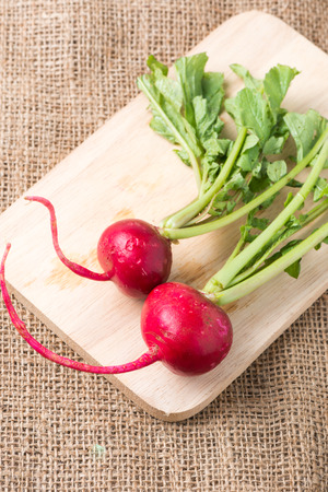 red radish on wood plateの写真素材