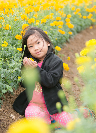 Thai cute girl in Marigold flower fieldの写真素材