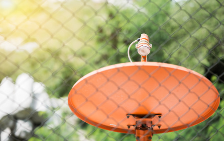 orange Satellite dish with copy spaceの写真素材
